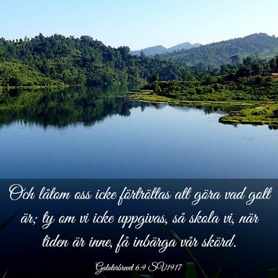 Picture 03 - Galaterbrevet 6:9 SV1917 - Och låtom oss icke förtröttas att göra vad - Bible Verse Picture