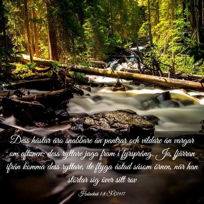 Picture 03 - Habackuk 1:8 SV1917 - Dess hästar äro snabbare än pantrar och - Bible Verse Picture