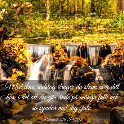Picture 03 - Habackuk 2:10 SV1917 - Med dina rådslag drager du skam över ditt hus, - Bible Verse Picture