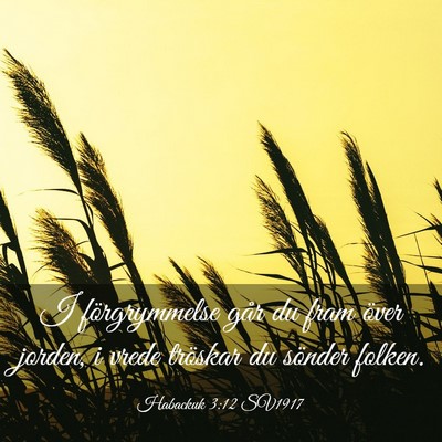Picture 03 - Habackuk 3:12 SV1917 - I förgrymmelse går du fram över jorden, i - Bible Verse Picture