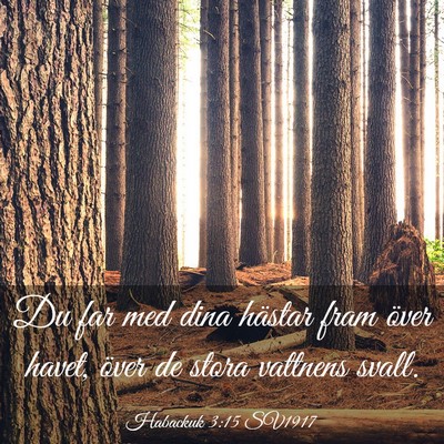 Picture 03 - Habackuk 3:15 SV1917 - Du far med dina hästar fram över havet, över - Bible Verse Picture
