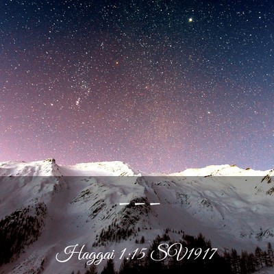 Picture 03 - Haggai 1:15 SV1917 -  - Bible Verse Picture