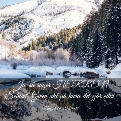 Picture 03 - Haggai 1:7 SV1917 - Ja, så säger HERREN Sebaot: Given akt på huru - Bible Verse Picture
