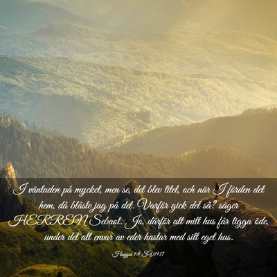 Picture 03 - Haggai 1:9 SV1917 - I väntaden på mycket, men se, det blev litet, - Bible Verse Picture