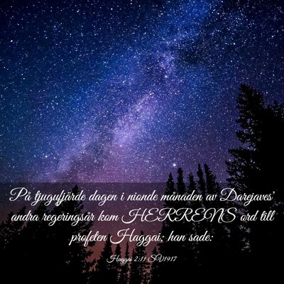 Picture 03 - Haggai 2:11 SV1917 - På tjugufjärde dagen i nionde månaden av - Bible Verse Picture