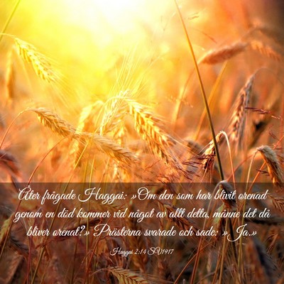 Picture 03 - Haggai 2:14 SV1917 - Åter frågade Haggai: »Om den som har blivit - Bible Verse Picture