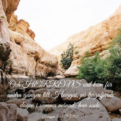 Picture 03 - Haggai 2:21 SV1917 - Och HERRENS ord kom för andra gången till - Bible Verse Picture