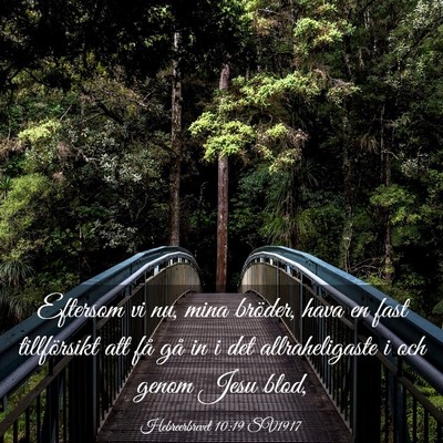 Picture 03 - Hebreerbrevet 10:19 SV1917 - Eftersom vi nu, mina bröder, hava en fast - Bible Verse Picture
