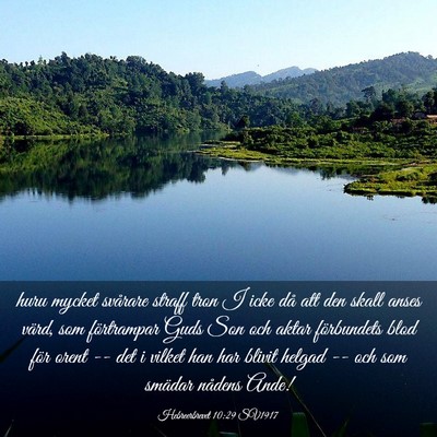 Picture 03 - Hebreerbrevet 10:29 SV1917 - huru mycket svårare straff tron I icke då att - Bible Verse Picture