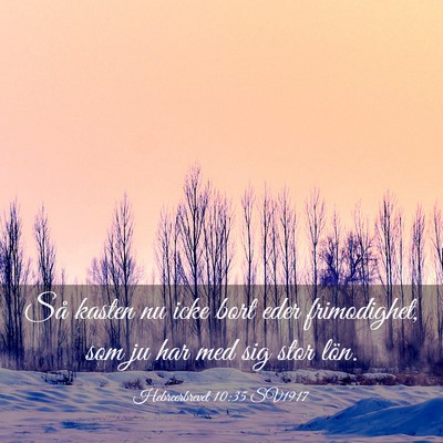 Picture 03 - Hebreerbrevet 10:35 SV1917 - Så kasten nu icke bort eder frimodighet, som ju - Bible Verse Picture