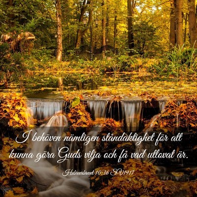Picture 03 - Hebreerbrevet 10:36 SV1917 - I behöven nämligen ståndaktighet för att - Bible Verse Picture