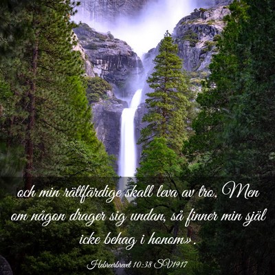 Picture 03 - Hebreerbrevet 10:38 SV1917 - och min rättfärdige skall leva av tro. Men om - Bible Verse Picture
