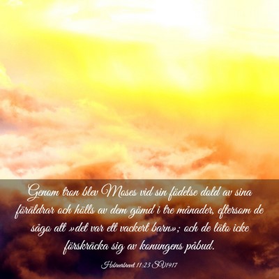 Picture 03 - Hebreerbrevet 11:23 SV1917 - Genom tron blev Moses vid sin födelse dold av - Bible Verse Picture