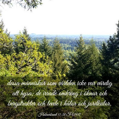 Picture 03 - Hebreerbrevet 11:38 SV1917 - dessa människor som världen icke var värdig - Bible Verse Picture