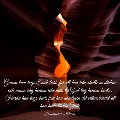 Picture 03 - Hebreerbrevet 11:5 SV1917 - Genom tron togs Enok bort, för att han icke - Bible Verse Picture