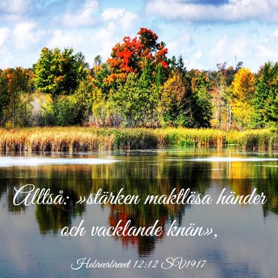 Picture 03 - Hebreerbrevet 12:12 SV1917 - Alltså: »stärken maktlösa händer och - Bible Verse Picture