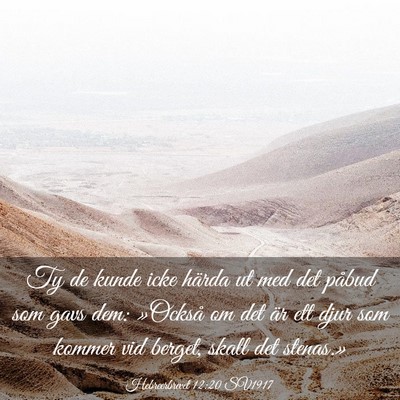 Picture 03 - Hebreerbrevet 12:20 SV1917 - Ty de kunde icke härda ut med det påbud som - Bible Verse Picture