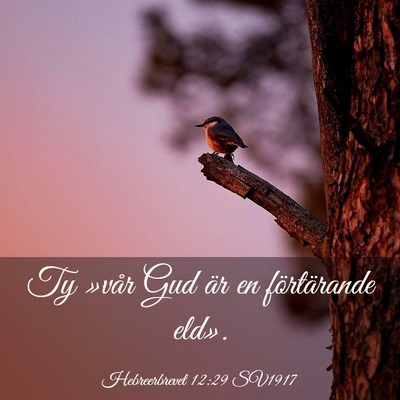 Picture 03 - Hebreerbrevet 12:29 SV1917 - Ty »vår Gud är en förtärande - Bible Verse Picture
