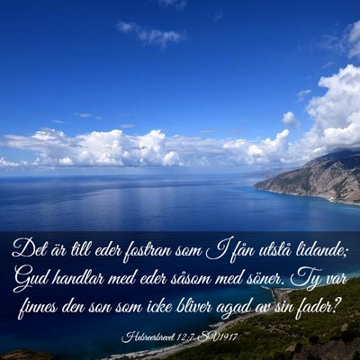 Picture 03 - Hebreerbrevet 12:7 SV1917 - Det är till eder fostran som I fån utstå - Bible Verse Picture