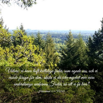Picture 03 - Hebreerbrevet 12:9 SV1917 - Vidare: vi hava haft köttsliga fäder, som agade - Bible Verse Picture