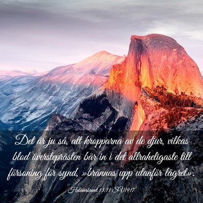 Picture 03 - Hebreerbrevet 13:11 SV1917 - Det är ju så, att kropparna av de djur, vilkas - Bible Verse Picture