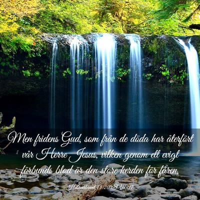 Picture 03 - Hebreerbrevet 13:20 SV1917 - Men fridens Gud, som från de döda har - Bible Verse Picture