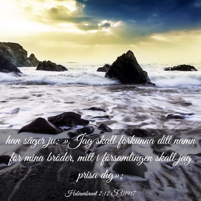 Picture 03 - Hebreerbrevet 2:12 SV1917 - han säger ju: »Jag skall förkunna ditt namn - Bible Verse Picture