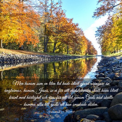 Picture 03 - Hebreerbrevet 2:9 SV1917 - Men honom som en liten tid hade blivit gjord - Bible Verse Picture