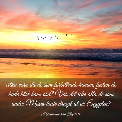 Picture 03 - Hebreerbrevet 3:16 SV1917 - vilka voro då de som förbittrade honom, fastän - Bible Verse Picture