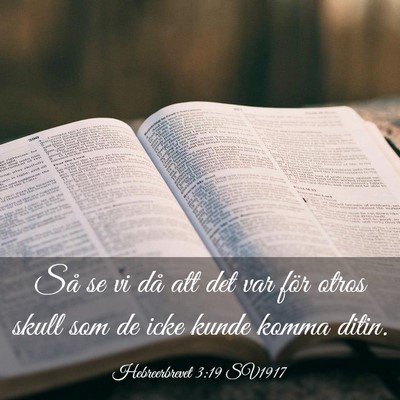 Picture 03 - Hebreerbrevet 3:19 SV1917 - Så se vi då att det var för otros skull som de - Bible Verse Picture