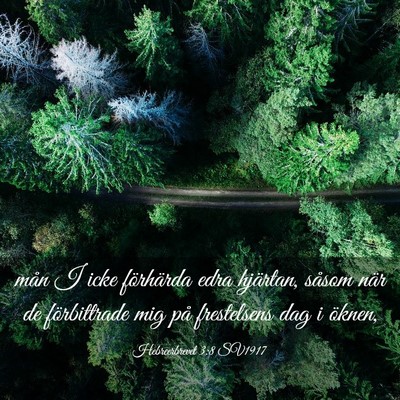 Picture 03 - Hebreerbrevet 3:8 SV1917 - mån I icke förhärda edra hjärtan, såsom när - Bible Verse Picture