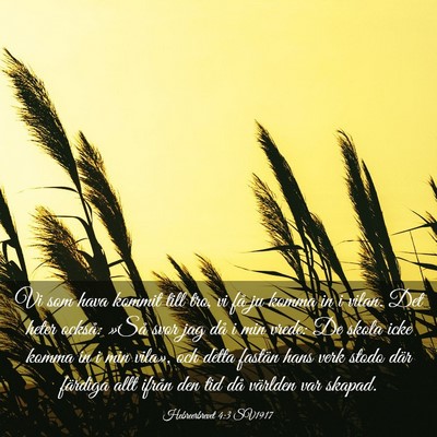 Picture 03 - Hebreerbrevet 4:3 SV1917 - Vi som hava kommit till tro, vi få ju komma in i - Bible Verse Picture