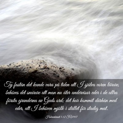 Picture 03 - Hebreerbrevet 5:12 SV1917 - Ty fastän det kunde vara på tiden att I själva - Bible Verse Picture
