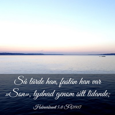 Picture 03 - Hebreerbrevet 5:8 SV1917 - Så lärde han, fastän han var »Son», lydnad - Bible Verse Picture