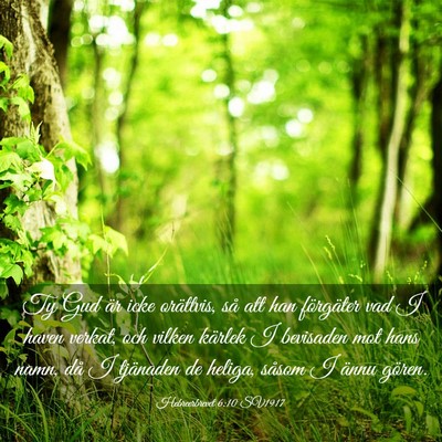 Picture 03 - Hebreerbrevet 6:10 SV1917 - Ty Gud är icke orättvis, så att han förgäter - Bible Verse Picture