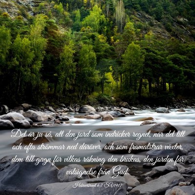 Picture 03 - Hebreerbrevet 6:7 SV1917 - Det är ju så, att den jord som indricker - Bible Verse Picture