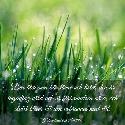 Picture 03 - Hebreerbrevet 6:8 SV1917 - Den åter som bär törne och tistel, den är - Bible Verse Picture