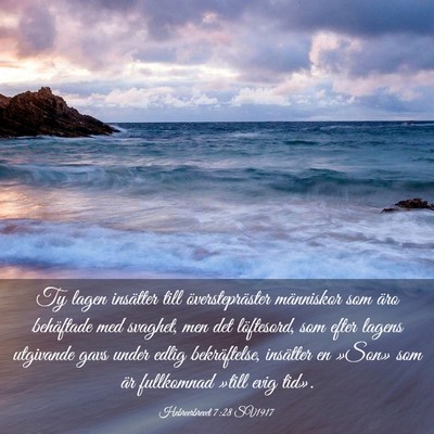 Picture 03 - Hebreerbrevet 7:28 SV1917 - Ty lagen insätter till överstepräster - Bible Verse Picture