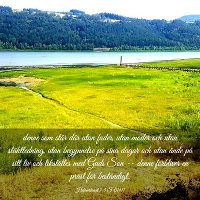 Picture 03 - Hebreerbrevet 7:3 SV1917 - denne som står där utan fader, utan moder och - Bible Verse Picture