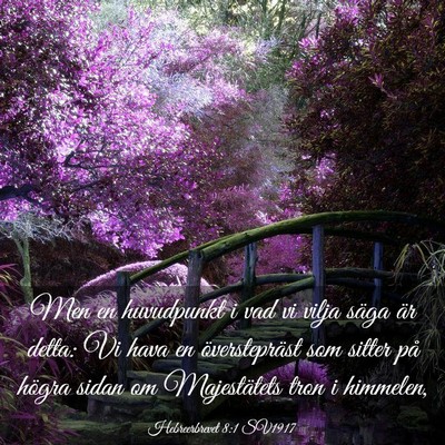 Picture 03 - Hebreerbrevet 8:1 SV1917 - Men en huvudpunkt i vad vi vilja säga är detta: - Bible Verse Picture