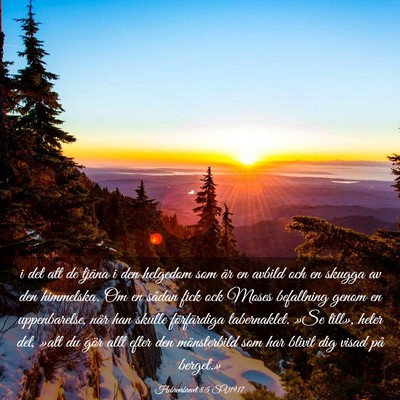 Picture 03 - Hebreerbrevet 8:5 SV1917 - i det att de tjäna i den helgedom som är en - Bible Verse Picture