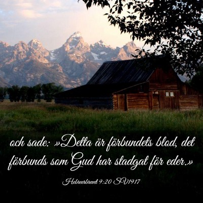 Picture 03 - Hebreerbrevet 9:20 SV1917 - och sade: »Detta är förbundets blod, det - Bible Verse Picture