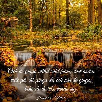 Picture 03 - Hesekiel 1:12 SV1917 - Och de gingo alltid rakt fram; vart anden ville - Bible Verse Picture