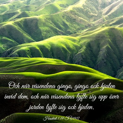 Picture 03 - Hesekiel 1:19 SV1917 - Och när väsendena gingo, gingo ock hjulen invid - Bible Verse Picture