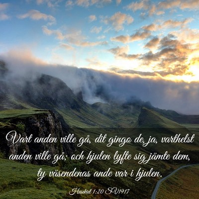 Picture 03 - Hesekiel 1:20 SV1917 - Vart anden ville gå, dit gingo de, ja, varthelst - Bible Verse Picture