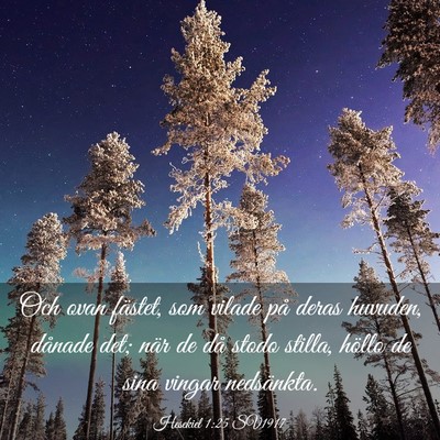 Picture 03 - Hesekiel 1:25 SV1917 - Och ovan fästet, som vilade på deras huvuden, - Bible Verse Picture