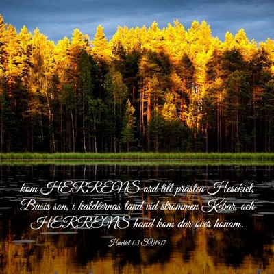 Picture 03 - Hesekiel 1:3 SV1917 - kom HERRENS ord till prästen Hesekiel, Busis - Bible Verse Picture