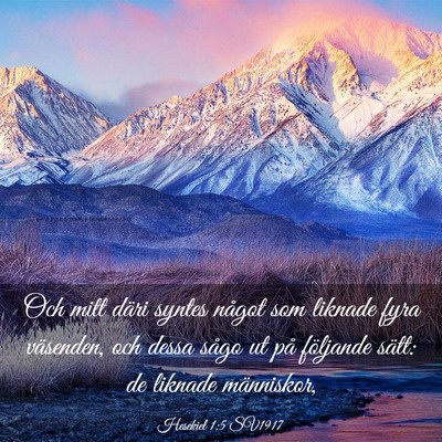 Picture 03 - Hesekiel 1:5 SV1917 - Och mitt däri syntes något som liknade fyra - Bible Verse Picture