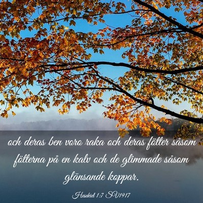 Picture 03 - Hesekiel 1:7 SV1917 - och deras ben voro raka och deras fötter såsom - Bible Verse Picture
