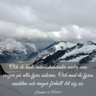 Picture 03 - Hesekiel 1:8 SV1917 - Och de hade människohänder under sina vingar - Bible Verse Picture